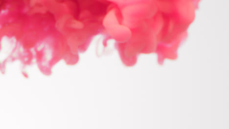 Defocused-Shot-Of-Pink-Paint-Or-Dye-Dropped-Into-Water-Against-White-Background-To-Create-Swirling-Colourful-Smoke-Background